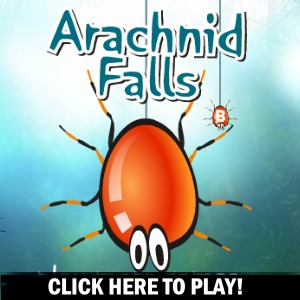 Arachnid Falls - Jeu Action 